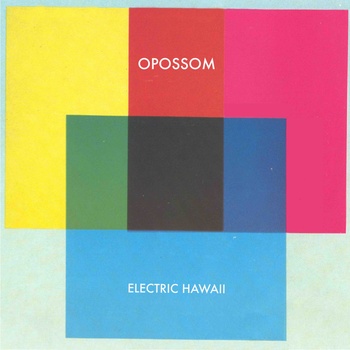 Opossom - Electric Hawaii (Fire)