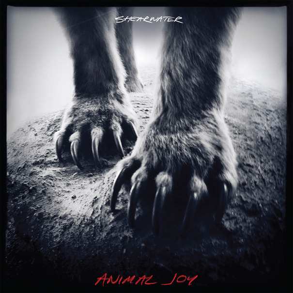 Shearwater - Animal Joy (Sub Pop)