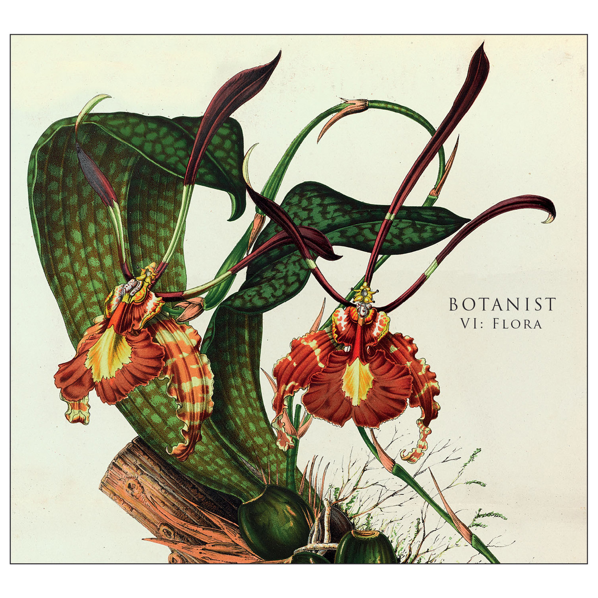 Botanist VI: Flora