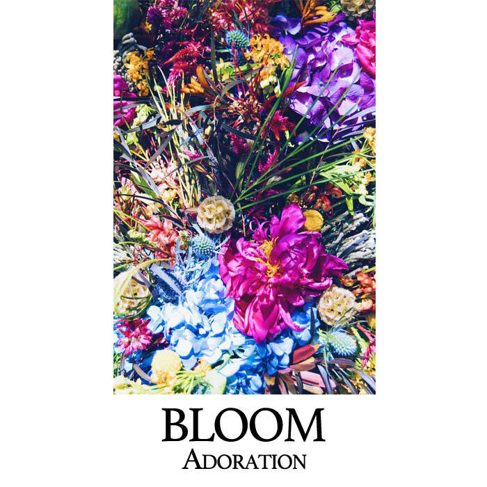 Bloom Adoration