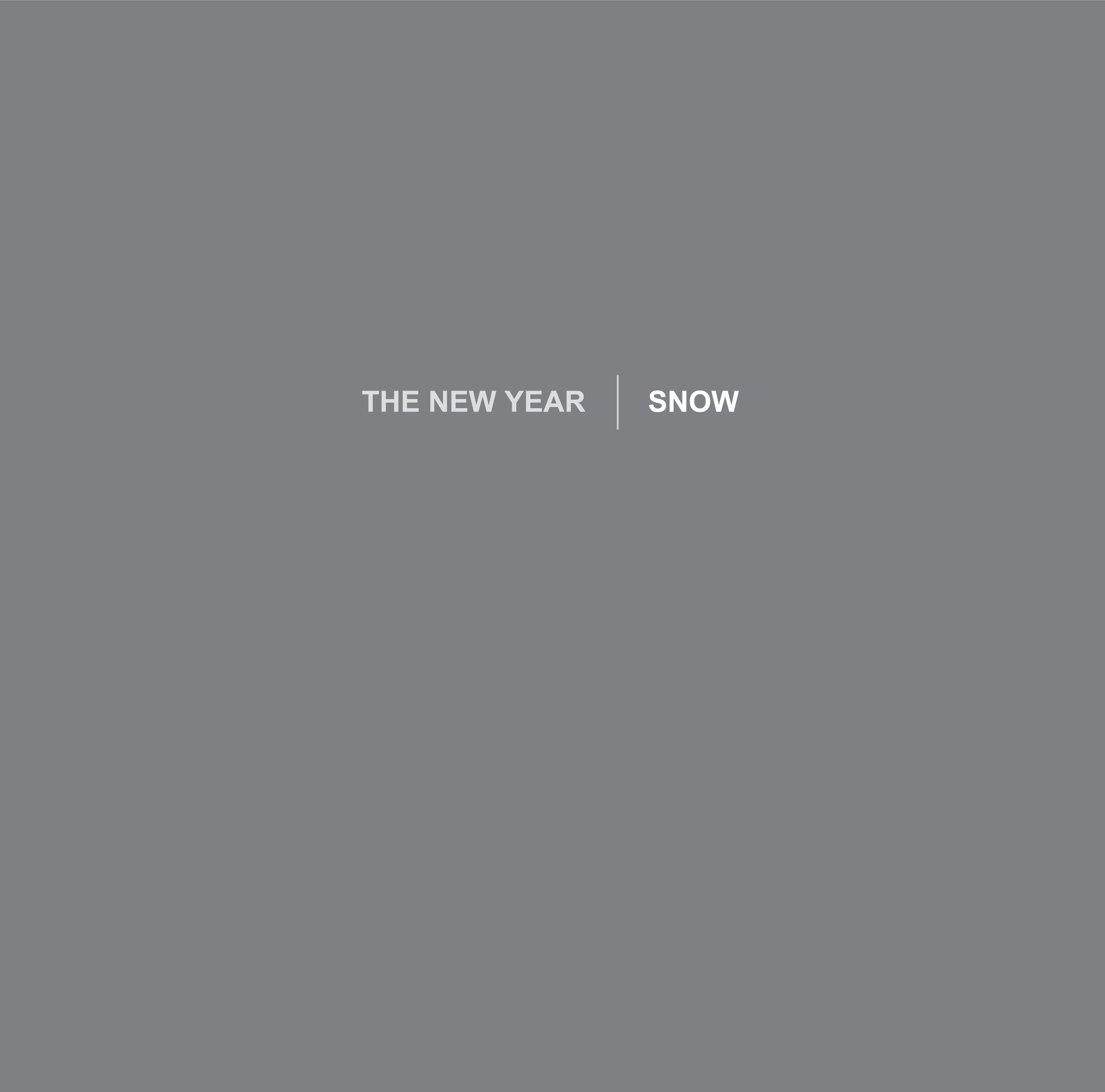The New Year Snow