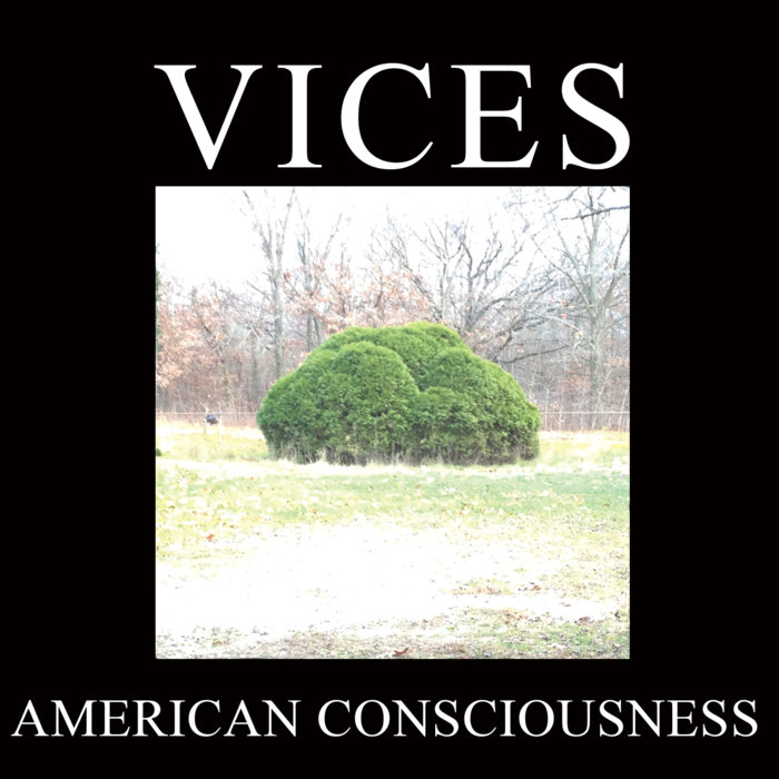 Vices American Consciousness