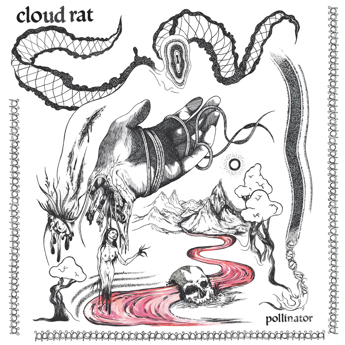 Cloud Rat Pollinator