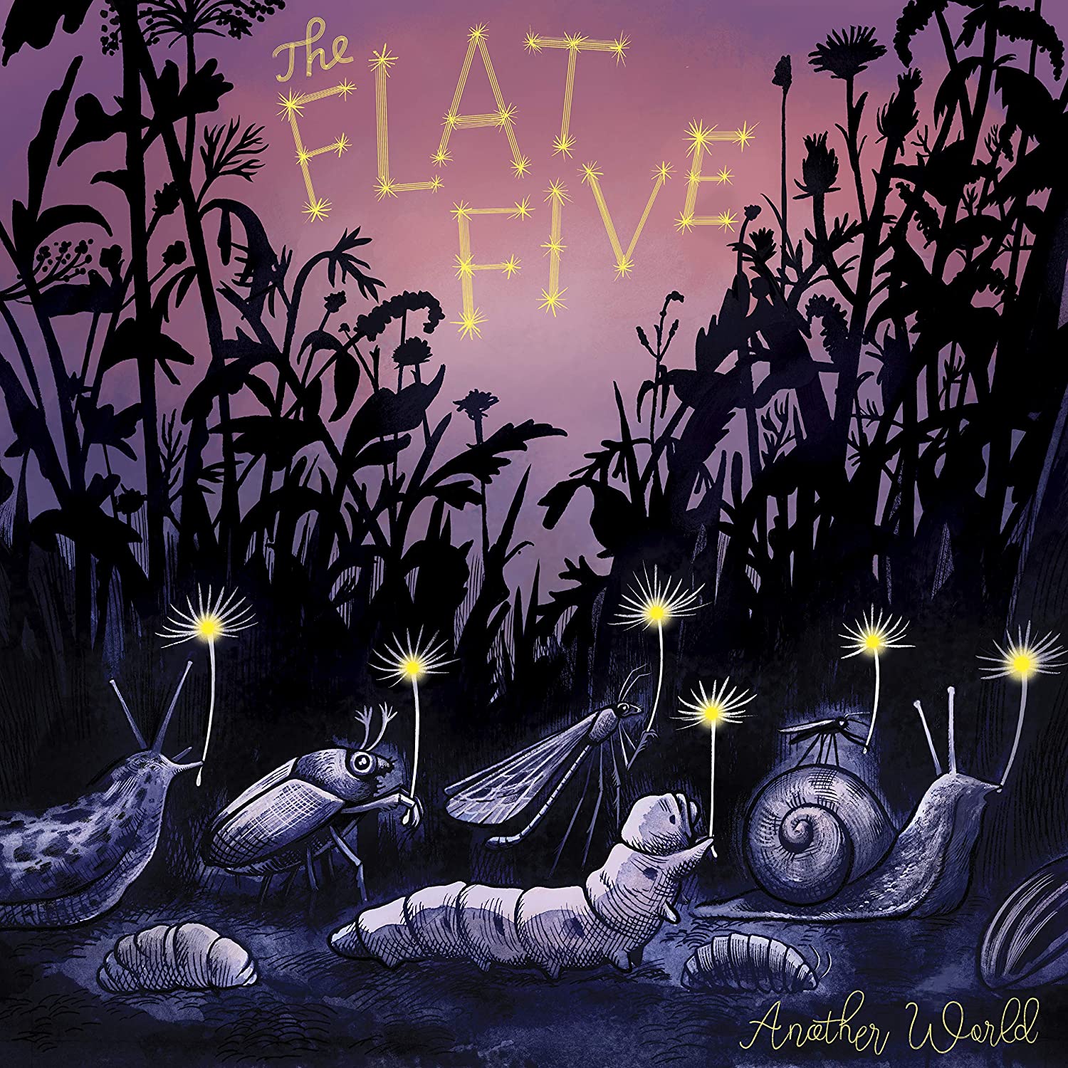 The Flat Five Another World