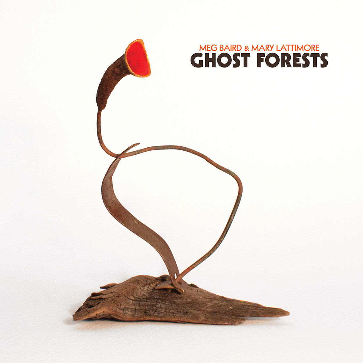 Meg Baird & Mary Lattimore Ghost Forests