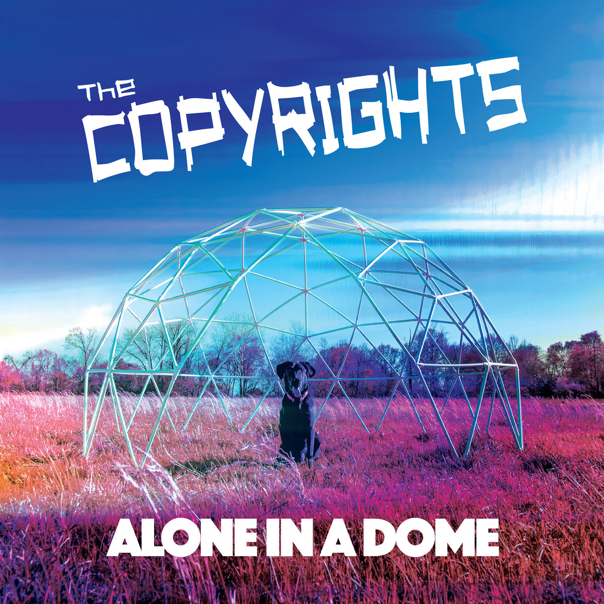 The Copyrights Alone in a Dome